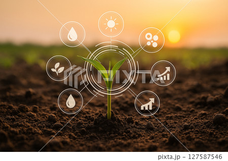 AI generated concept image of a young seedling emerging from fertile soil with futuristic HUD icons showing growth data water nutrients and sunlight in a calm sunset farm environment. AI generated concept image of a young seedling emerging from fertile soil with futuristic HUD icons showing growth data water nutrients and sunlight in a calm sunset farm environment. 127587546