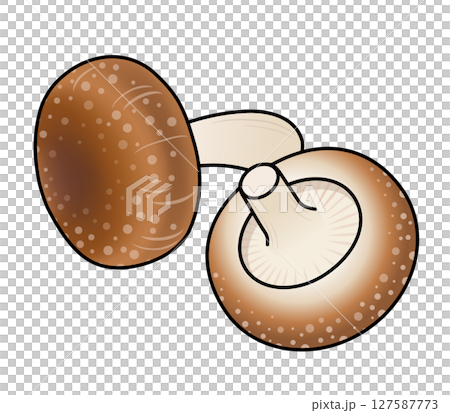 香菇圖標 127587773