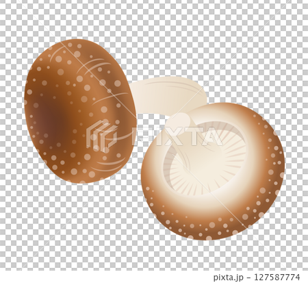 Shiitake mushroom icon 127587774