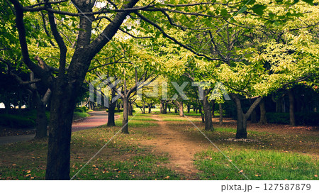 花見川緑地 千葉市美浜区 花見川緑地 千葉市美浜区 127587879