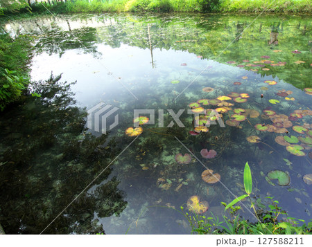 綺麗な池に映る景色 127588211