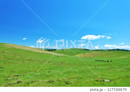 長野県 青空の美ヶ原高原 長野県 青空の美ヶ原高原 127588670