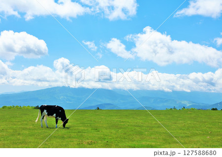 長野県 美ヶ原高原 青空の牧場風景 長野県 美ヶ原高原 青空の牧場風景 127588680
