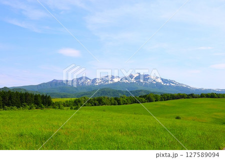 新緑の北海道、大雪山国立公園、大雪山連峰のパノラマを望む大雪高原、旭ケ丘 新緑の北海道、大雪山国立公園、大雪山連峰のパノラマを望む大雪高原、旭ケ丘 127589094
