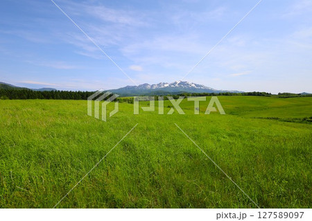 新緑の北海道、大雪山国立公園、大雪山連峰のパノラマを望む大雪高原、旭ケ丘 127589097