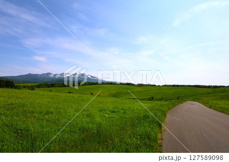 新緑の北海道、大雪山国立公園、大雪山連峰のパノラマを望む大雪高原、旭ケ丘 127589098