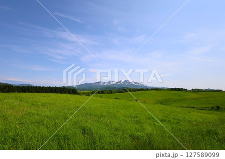 新緑の北海道、大雪山国立公園、大雪山連峰のパノラマを望む大雪高原、旭ケ丘 127589099
