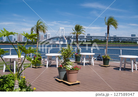 お台場海浜の風景 127589347