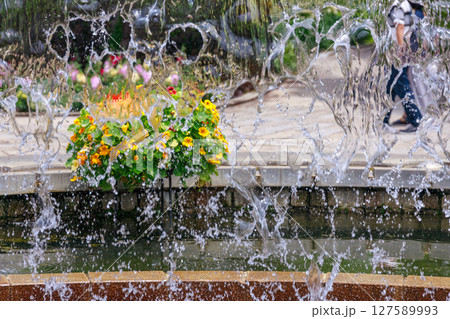 噴水越しに綺麗に咲いた花の風景 127589993