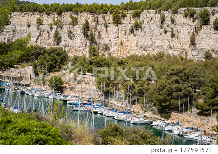 Marina in Rocky Cove with Yachts and Sailboats, Surrounded by Pine Forest 127591571
