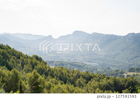 Peaceful atmosphere of a mountain valley landscape during the daylight hours Peaceful atmosphere of a mountain valley landscape during the daylight hours 127591593