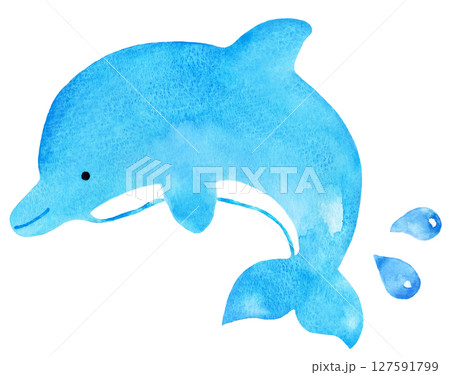 優しいタッチのイルカのイラストのイラスト素材 [127591799] - PIXTA