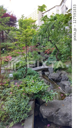 庭園のある庭 127591833