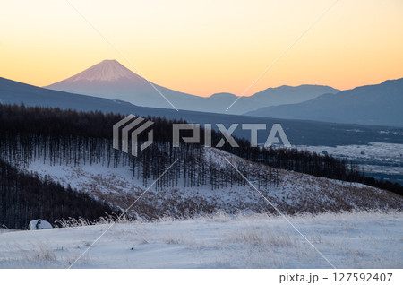 ビーナスラインから望む朝焼けの富士山 127592407