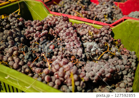 box full of red grapes 127592855