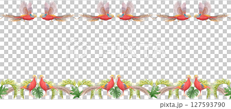Flying tropical birds with long tails palm leaves watercolor seamless border isolated on white. Hand-painted perfect for wedding stationery, fabric prints, summer projects. Golden pheasant. Horizontal 127593790