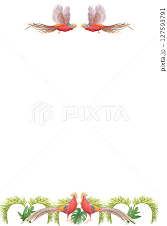 Tropical birds with palm leaves watercolor vertical frame on white background. Hand-painted perfect for stationery, fabric prints, summer projects, cards. Golden pheasant. Horizontal. Flying standing Tropical birds with palm leaves watercolor vertical frame on white background. Hand-painted perfect for stationery, fabric prints, summer projects, cards. Golden pheasant. Horizontal. Flying standing 127593791
