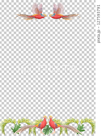 Tropical birds with palm leaves watercolor vertical frame on white background. Hand-painted perfect for stationery, fabric prints, summer projects, cards. Golden pheasant. Horizontal. Flying standing Tropical birds with palm leaves watercolor vertical frame on white background. Hand-painted perfect for stationery, fabric prints, summer projects, cards. Golden pheasant. Horizontal. Flying standing 127593791