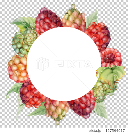 Raspberry berries leaves wreath in water splash, dew drops hand drawn in watercolor. Ripe garden dewberry cloudberry mulberry loganberry. Isolated circle frame. Fresh grocery drinks, preserves recipes 127594017