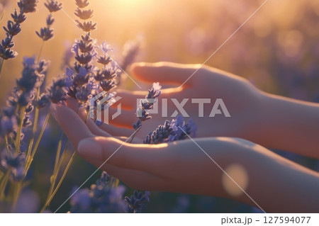 Close up hand hold Lavender flower. 127594077
