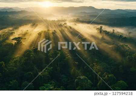 Rainforest sunrise aerial, jungle fog with sun rays, clouds breaking, drone-captured design. 127594218
