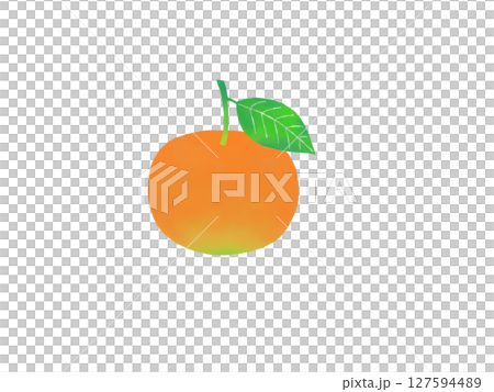 Illustration of fresh mandarin oranges Illustration of fresh mandarin oranges 127594489