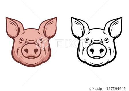 Illustration of a pig head isolated on white background. Pork meat. Design element for poster, menu ,card. 127594643