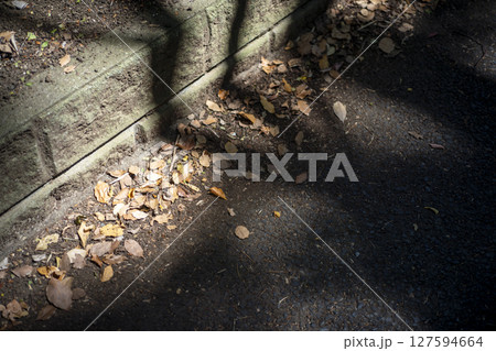 落ち葉 枯れ葉 歩道 道路 シンプル 素材 落ち葉 枯れ葉 歩道 道路 シンプル 素材 127594664