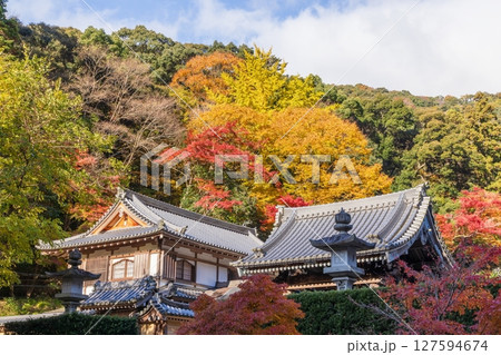 箕面公園の紅葉　大阪府箕面市にて 127594674