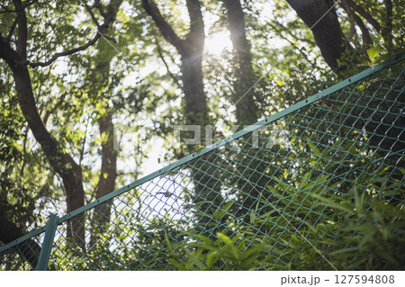 フェンス 公園 森 林 新緑 フェンス素材 127594808