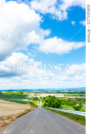 爽やかな夏空が広がる北海道らしい風景 127595809