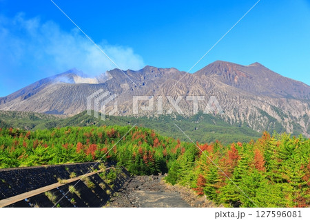 【鹿児島県】快晴の桜島 昭和火口と昭和溶岩地帯 127596081