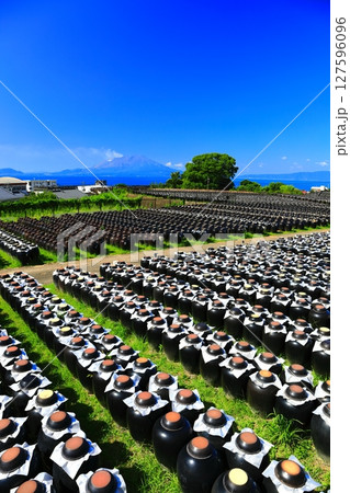 【鹿児島】快晴の壺畑と桜島 127596096