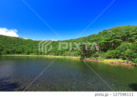 【宮崎県】晴天の霧島の白紫池（えびの高原） 127596111