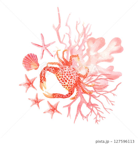 Hand drawn watercolor composition with red crab, starfish, corals and shell. Composition for marine design Hand drawn watercolor composition with red crab, starfish, corals and shell. Composition for marine design 127596113