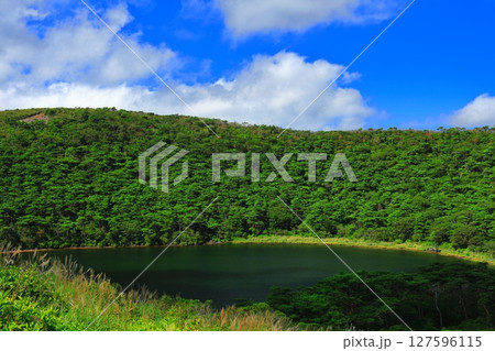 【宮崎県】晴天の霧島の白紫池(えびの高原) 【宮崎県】晴天の霧島の白紫池(えびの高原) 127596115