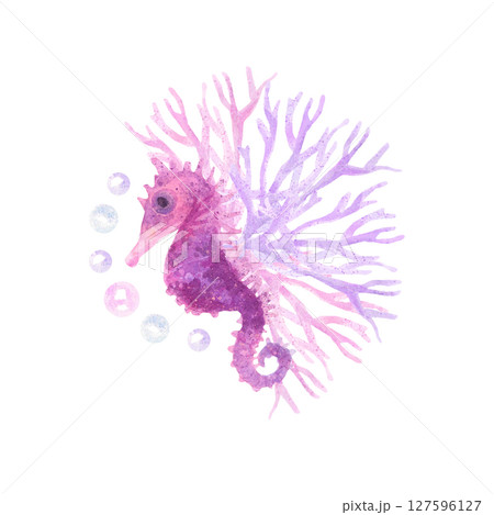 Bright hand-painted watercolor composition with pink corals, seahorse and bubbles. Composition for marine design. 127596127