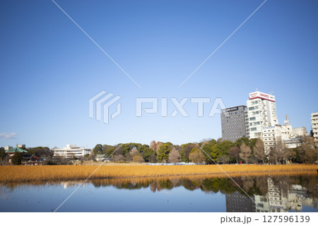 上野の風景 上野の風景 127596139