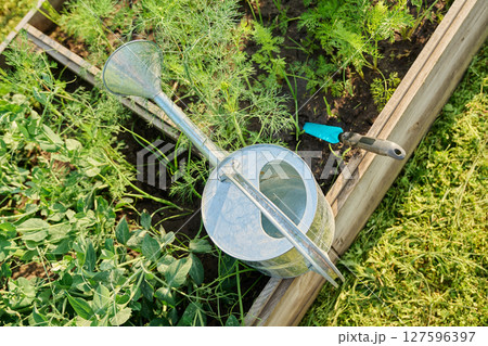 Top view of raised wooden bed with vegetables and herbs, with watering can and shovel Top view of raised wooden bed with vegetables and herbs, with watering can and shovel 127596397