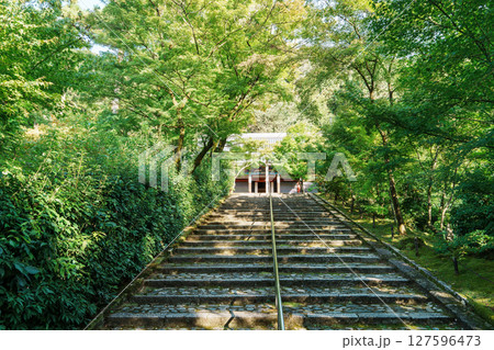 永観堂　阿弥陀堂への参道 127596473