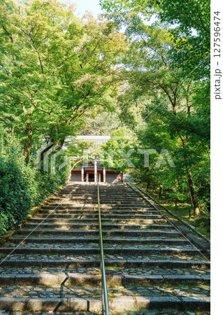 永観堂　阿弥陀堂への参道 127596474