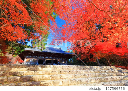 【京都府】高雄山 神護寺参道の紅葉（金堂） 127596756