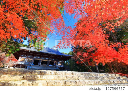 【京都府】高雄山 神護寺参道の紅葉（金堂） 127596757