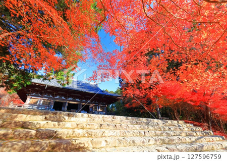 【京都府】高雄山 神護寺参道の紅葉(金堂) 【京都府】高雄山 神護寺参道の紅葉(金堂) 127596759