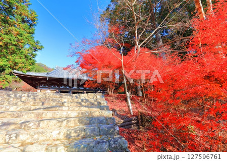 【京都府】高雄山 神護寺参道の紅葉（金堂） 127596761