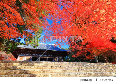 【京都府】高雄山 神護寺参道の紅葉(金堂) 【京都府】高雄山 神護寺参道の紅葉(金堂) 127596763