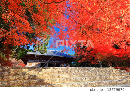 【京都府】高雄山 神護寺参道の紅葉（金堂） 127596764
