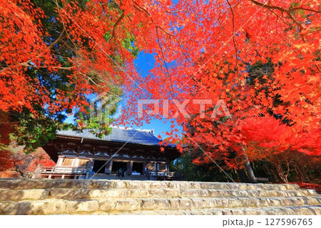 【京都府】高雄山 神護寺参道の紅葉（金堂） 127596765