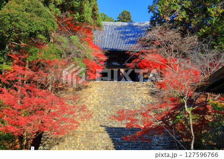 【京都府】高雄山 神護寺参道の紅葉(金堂) 【京都府】高雄山 神護寺参道の紅葉(金堂) 127596766