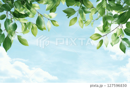 Blue sky and white clouds with green leaves in foreground, suitable for background Blue sky and white clouds with green leaves in foreground, suitable for background 127596830